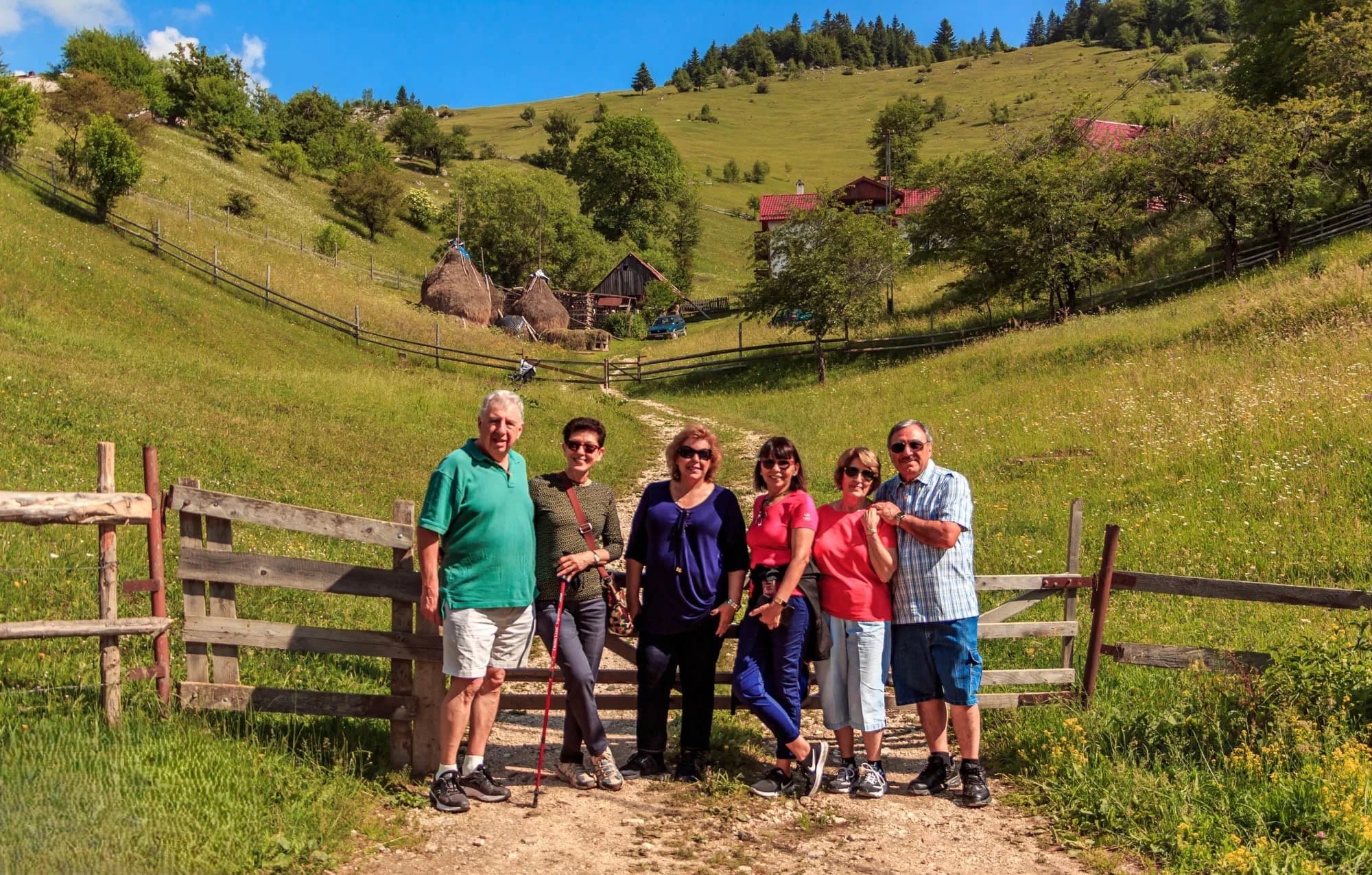 Descoperă România Cu Tururi Organizate Profesional